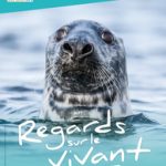 Regards sur le vivant